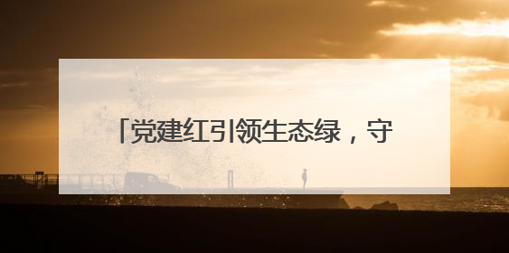 党建红引领生态绿，守护高速“绿水青山”